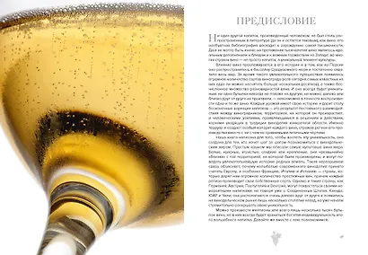 Маленькая книга гурмана. Вино - фото 7