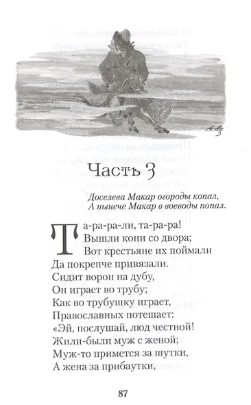 Конек-горбунок - фото 4