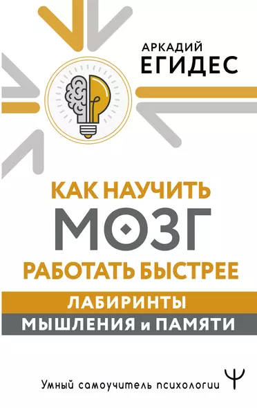 Как научить мозг работать быстрее. Лабиринты мышления и памяти - фото 1