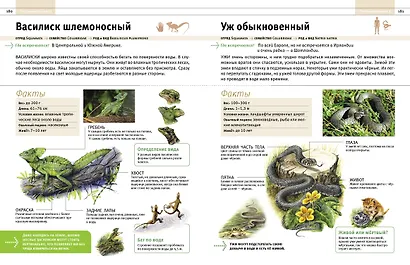 Животные. Все обитатели нашей планеты - фото 10