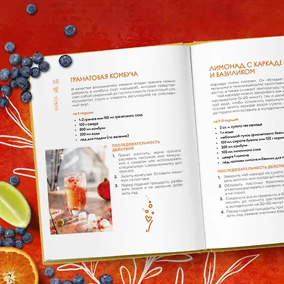 Комбуча. Искусство сочетания вкуса и пользы. Рецепты чайного гриба и напитков из него. - фото 11