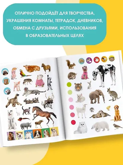 Очаровательные пушистики - фото 4