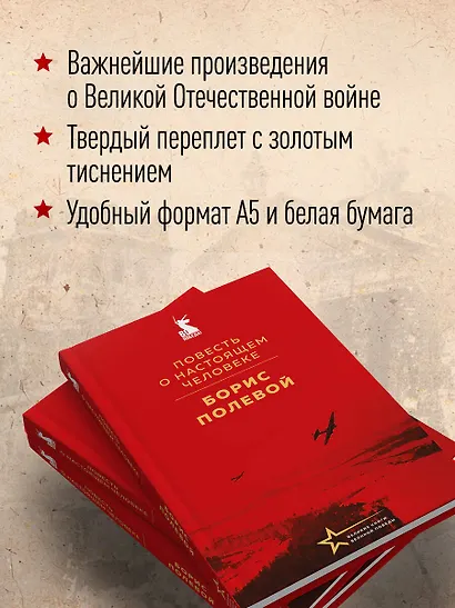 Повесть о настоящем человеке - фото 5