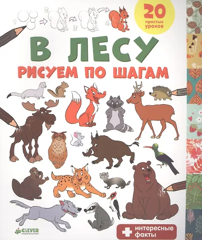 В лесу. Рисуем по шагам - фото 1
