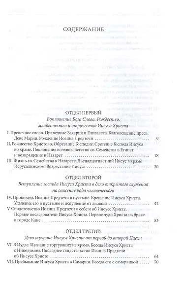 Толковая Библия Лопухина. Библейская история Нового Завета. Книга. 2. Две книги - фото 2