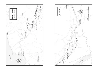 Чарующее безумие. Клод Моне и водяные лилии - фото 6