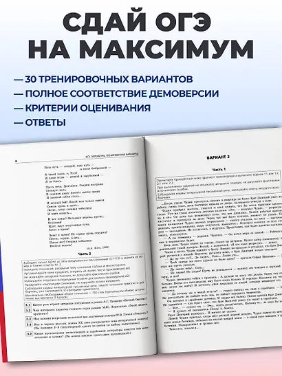 ОГЭ-2027. Литература. Тренировочные варианты. 25 вариантов - фото 5