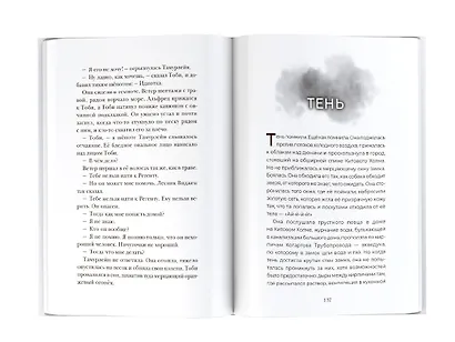 Город теней - фото 6