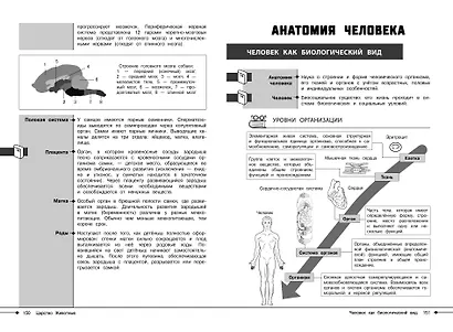 Биология - фото 10