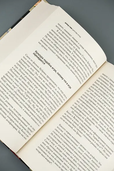 Царство игры - фото 9