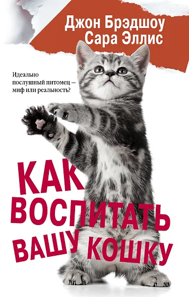 Как воспитать вашу кошку - фото 1