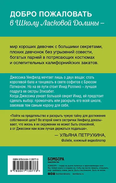 Школа в Ласковой Долине. Секреты (книга №2) - фото 2