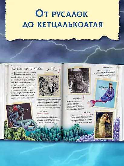 Тайный мир волшебных существ - фото 4