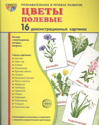 Дем. картинки СУПЕР Цветы полевые.16 демонстр.картинок с текстом(173х220мм) - фото 1