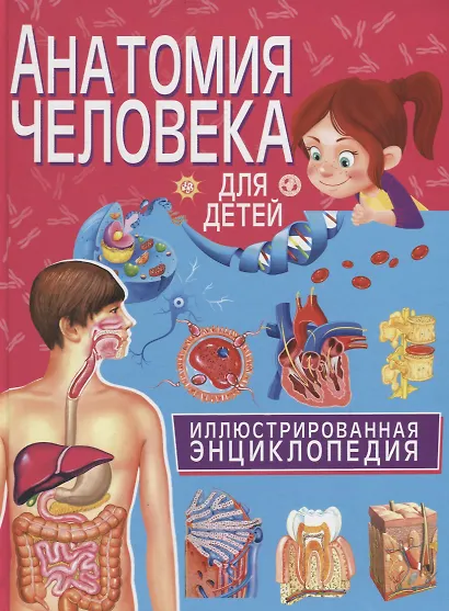 Анатомия человека для детей. Иллюстрированная энциклопедия - фото 1