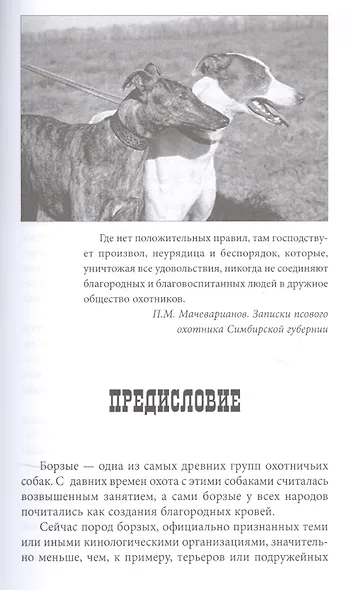 Борзые и охота с ними - фото 4