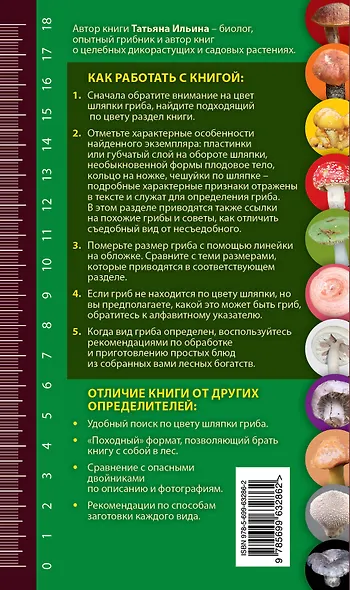 Грибная палитра. Карманный справочник-определитель - фото 2
