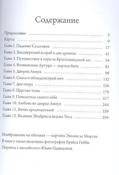 Принцесса Сельгови и верховный король - фото 2