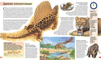 Новая Книга знаний в вопросах и ответах - фото 7