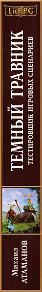 Темный травник. Книга первая. Тестировщик игровых сценариев - фото 5