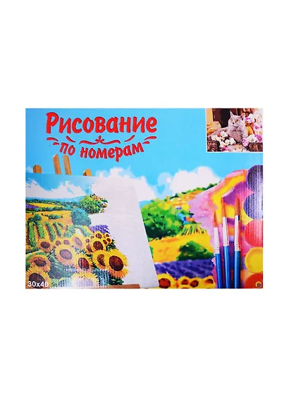 Набор д/творчества Рыжий кот Холст с красками 30х40см по номерам Британский кот в цветах Х-1751 - фото 2