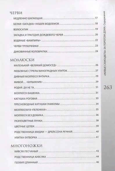 "Живые самоцветы" за порогом дома - фото 3