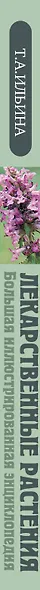 Лекарственные растения. Большая иллюстрированная энциклопедия - фото 5