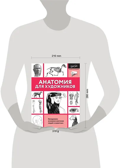 Анатомия для художников - фото 6