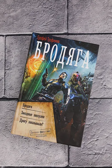 Бродяга (сборник) - фото 4
