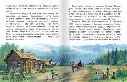 Георгий Жуков - фото 3