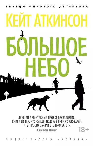 Большое небо - фото 1