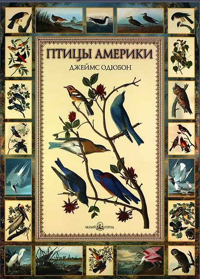 Птицы Америки. Джеймс Одюбон - фото 1