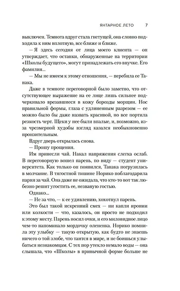 Янтарное лето - фото 11