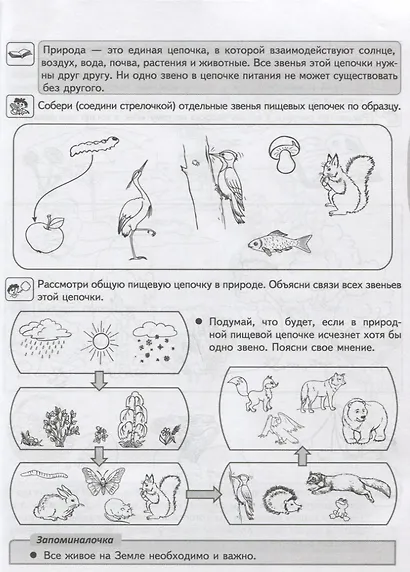 Окружающий мир. Рабочая тетрадь. (6-7 лет) - фото 5