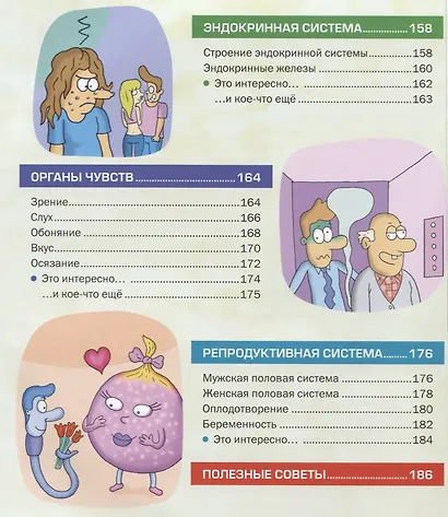 Атлас анатомии для детей и взрослых - фото 6