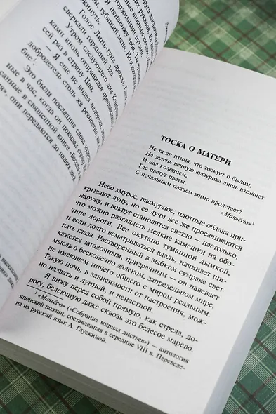 Похвала тени - фото 7