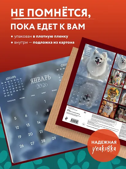 Шпицы. Календарь настенный на 2026 год (300х300) - фото 4
