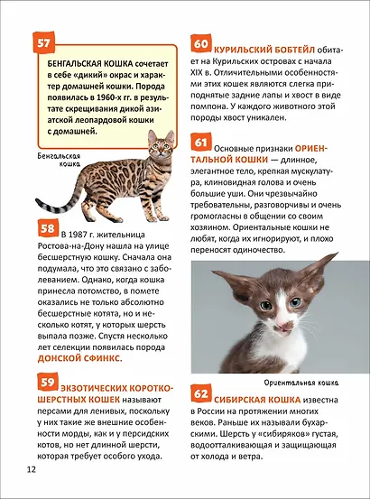 Кошки и собаки. Энциклопедия российского школьника - фото 4
