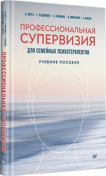 Профессиональная супервизия для семейных психотерапевтов. Учебное пособие - фото 2