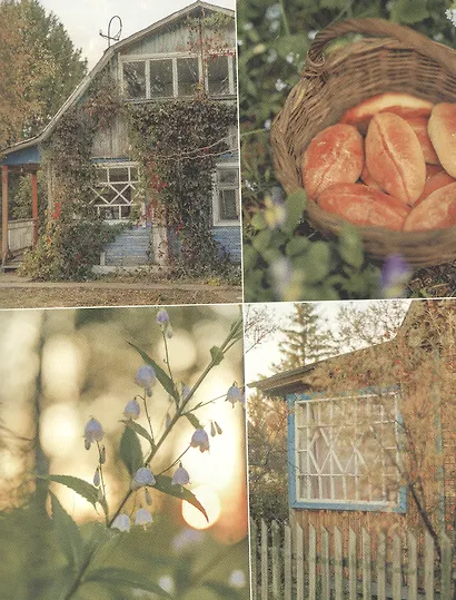 Романтика дачи. Традиции прошлого, детские воспоминания и уютная загородная жизнь настоящего - фото 2