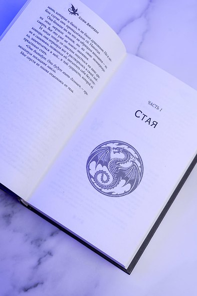 Шрам на кости - фото 13