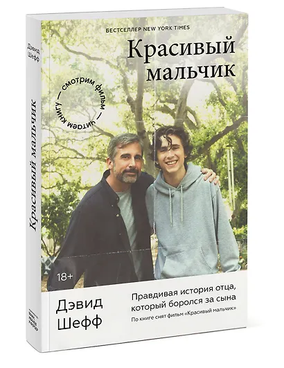 Красивый мальчик. Правдивая история отца, который боролся за сына - фото 3