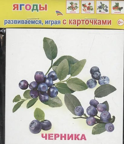 Обучающие карточки Ягоды (упаковка) (978-5-91282-662-7) - фото 1