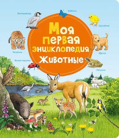 Моя первая энциклопедия. Животные - фото 1