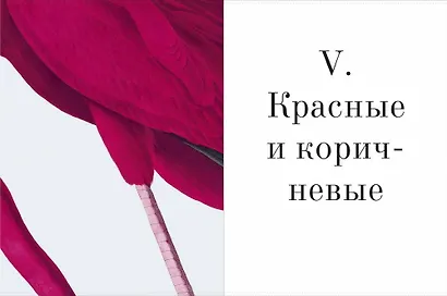Цвет в природе. Коллекция красок окружающего мира - фото 8