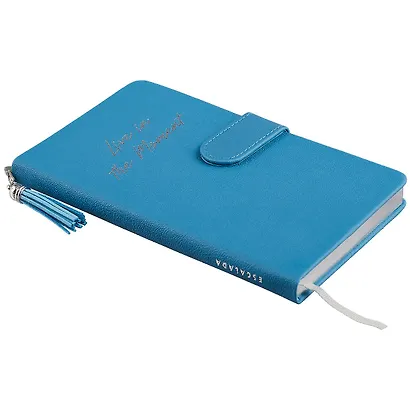 Ежедневник недат. А6+ 120л 110*190 "Буйвол" голубой, кожзам, тв. переплет, магнит.клапан, кисточка, тонир.блок, ляссе - фото 2