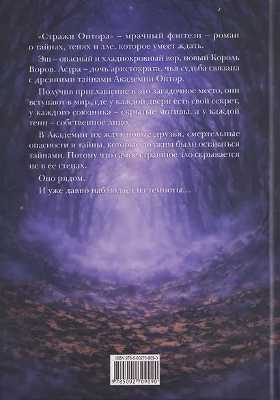 Хроники Мистерии. Книга 2. Стражи Онтора - фото 2