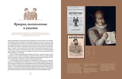 Кабинет редкостей – анатомических, медицинских и жутких - фото 10