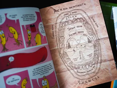 Пищеварение. Научный комикс - фото 12