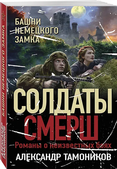 Башни немецкого замка - фото 3